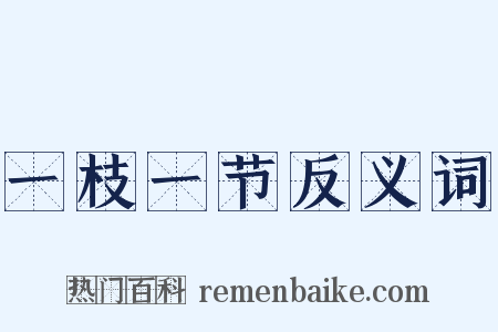 一枝一节反义词是什么意思的图片